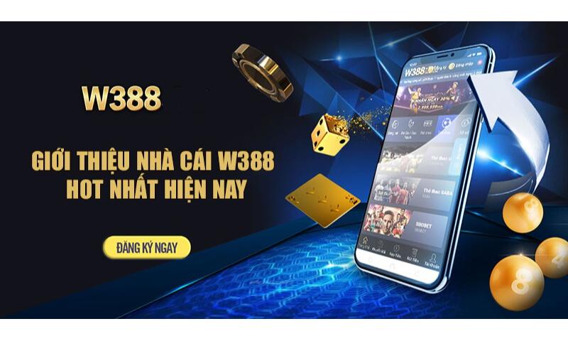 W388 là gì