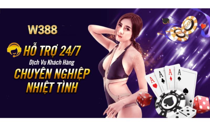 Dịch vụ W388 chuyên nghiệp.