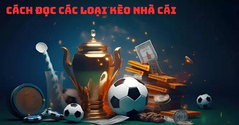 Các loại kèo bóng W388