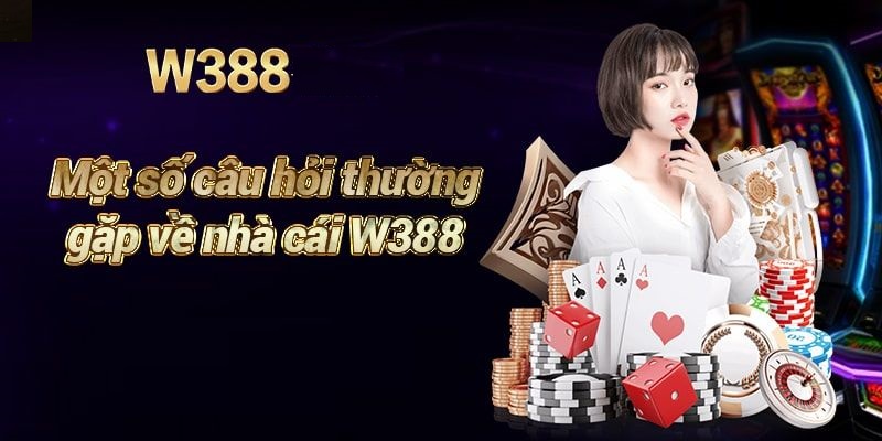 Giải đáp câu hỏi thường gặp về W388